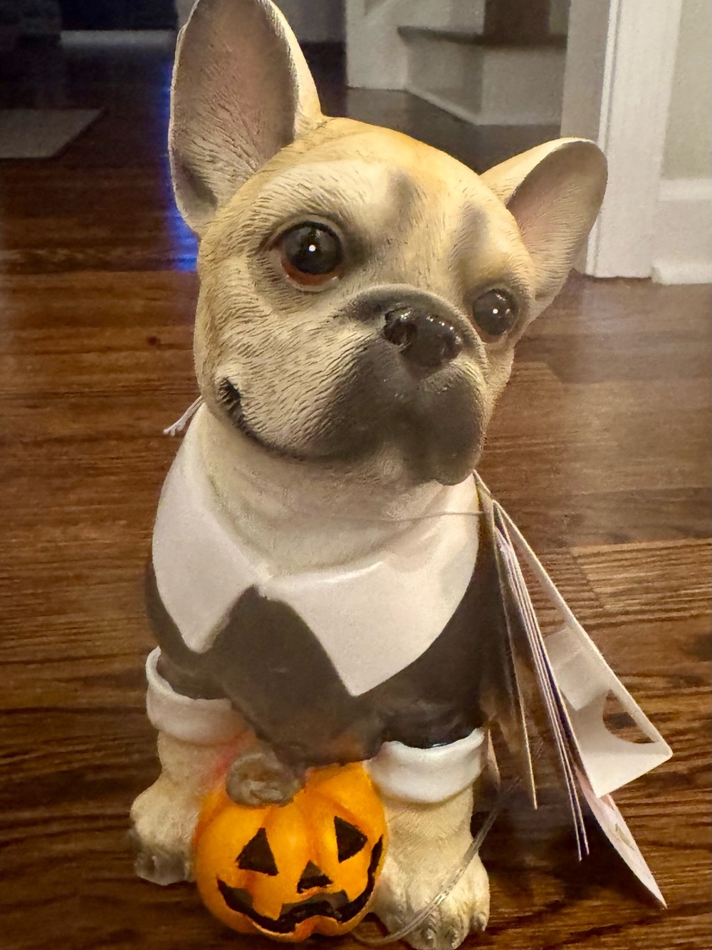 Frenchie Dog Figurine With Halloween Pumpkin Décor